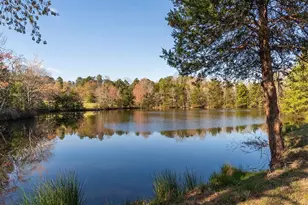 5448 Mt Vernon Church Rd, Burlington, NC 27217 - Photo 44