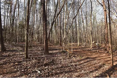 6799 Bronco Lane, Summerfield, NC 27358 - Photo 6