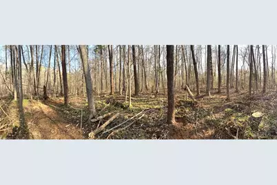 6799 Bronco Lane, Summerfield, NC 27358 - Photo 10