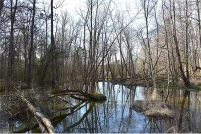 6799 Bronco Lane, Summerfield, NC 27358 - Photo 20