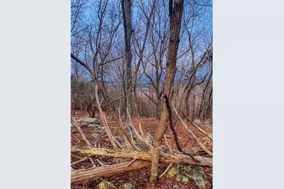 2243 Sierra Trace Road, Denton, NC 27239 - Photo 2