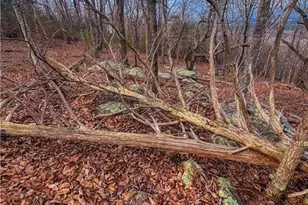 2243 Sierra Trace Rd, Denton, NC 27239 - Photo 1