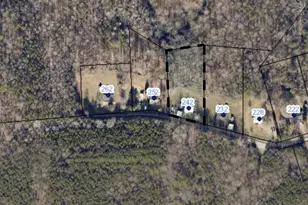 242 Matthews St, Stoneville, NC 27048 - Photo 20