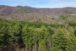 6414 Summit Rd, Purlear, NC 28665 - Photo 36