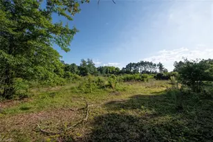 138 W Moore St, Norman, NC 27229 - Photo 28