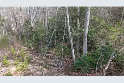 00 McKinley Road, Roaring River, NC 28669 - Photo 8