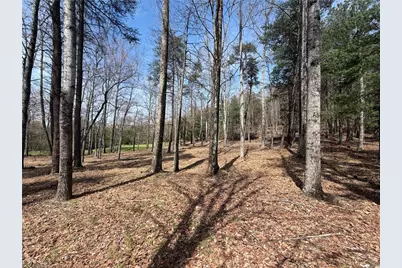 Lot 28 Greenstreet Drive, Traphill, NC 28685 - Photo 6