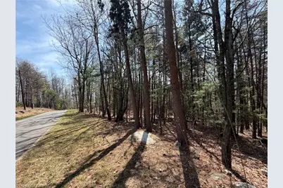 Lot 105 Greenstreet Drive, Traphill, NC 28685 - Photo 1