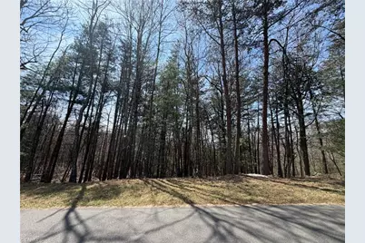 Lot 105 Greenstreet Drive, Traphill, NC 28685 - Photo 10