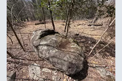 Lot 105 Greenstreet Drive, Traphill, NC 28685 - Photo 6