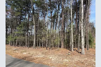 Lot 33 Greenstreet Drive, Traphill, NC 28685 - Photo 8