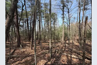 Lot 33 Greenstreet Drive, Traphill, NC 28685 - Photo 10