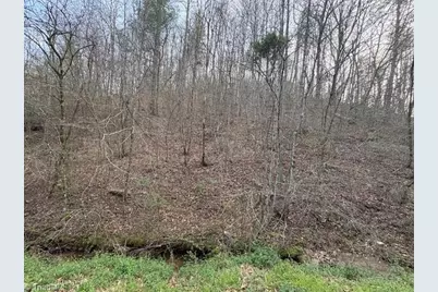 Tbd N Marley Ford Road, Ferguson, NC 28624 - Photo 2