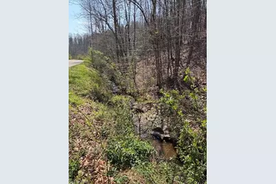 Tbd N Marley Ford Road, Ferguson, NC 28624 - Photo 4