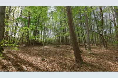 3 Thomas Farm Road, King, NC 27021 - Photo 12