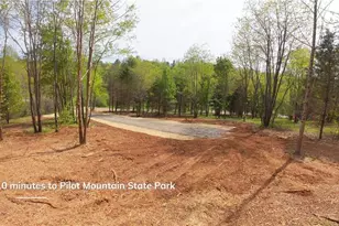 3 Thomas Farm Rd, King, NC 27021 - Photo 1