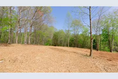 3 Thomas Farm Road, King, NC 27021 - Photo 8