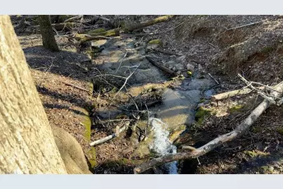 14691 N Nc Highway 16, Millers Creek, NC 28651 - Photo 20