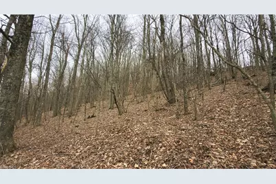 Tbd Tater Hill Road, Boone, NC 28698 - Photo 14