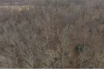 Tbd Tater Hill Road, Boone, NC 28698 - Photo 6