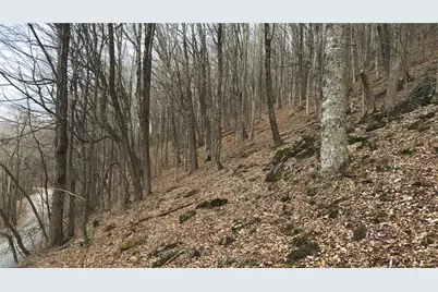Tbd Tater Hill Road, Boone, NC 28698 - Photo 20