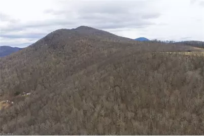 Tbd Tater Hill Road, Boone, NC 28698 - Photo 4