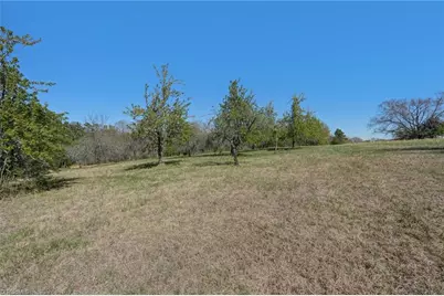 00 Blanch Road, Blanch, NC 27212 - Photo 8