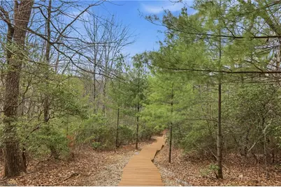 Lot 109 & 110 Pepper Bush Road, Purlear, NC 28665 - Photo 18