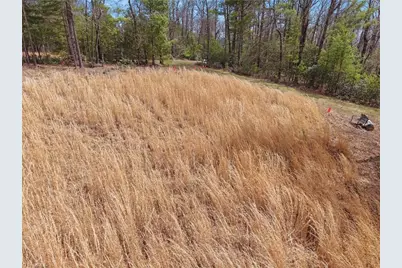 Lot 109 & 110 Pepper Bush Road, Purlear, NC 28665 - Photo 1