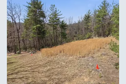 Lot 109 & 110 Pepper Bush Road, Purlear, NC 28665 - Photo 1