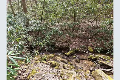 Lot 109 & 110 Pepper Bush Road, Purlear, NC 28665 - Photo 26