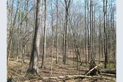 0000 Tilden Nursery Road, Lexington, NC 27295 - Photo 14