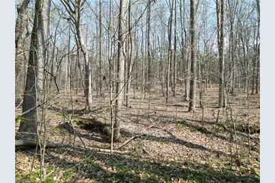 0000 Tilden Nursery Road, Lexington, NC 27295 - Photo 26