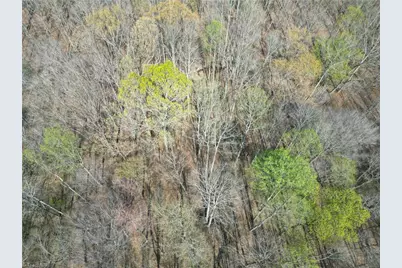 0000 Tilden Nursery Road, Lexington, NC 27295 - Photo 10