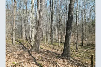 0000 Tilden Nursery Road, Lexington, NC 27295 - Photo 6