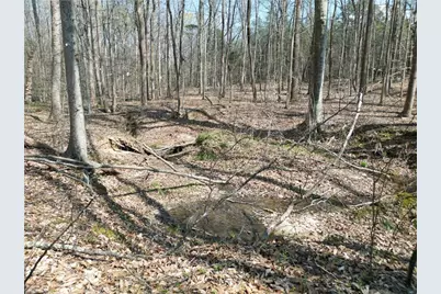 0000 Tilden Nursery Road, Lexington, NC 27295 - Photo 20