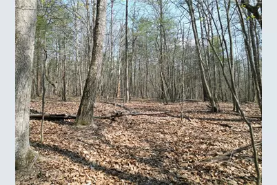 0000 Tilden Nursery Road, Lexington, NC 27295 - Photo 32