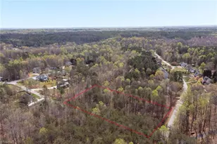 358 Harvest Mill Dr, Lewisville, NC 27023 - Photo 42