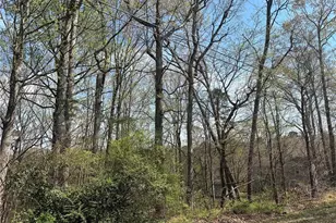 0 Idlewild Dr Ext, Randleman, NC 27317 - Photo 1