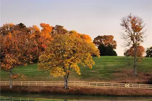 3053 Hallmark Estates Dr, Boonville, NC 27011 - Photo 30