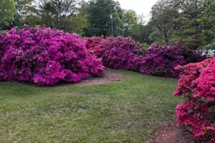 3201 Crittenden Ct, Winston-Salem, NC 27106 - Photo 46