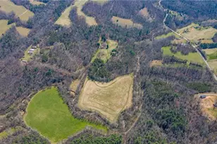 1305 Brim Rd, Mount Airy, NC 27030 - Photo 36