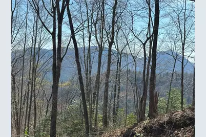 6475 & 6485 Buffalo Cove Road, Lenoir, NC 28645 - Photo 14