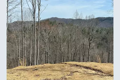 6475 & 6485 Buffalo Cove Road, Lenoir, NC 28645 - Photo 8