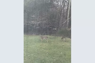 4593 Olivine Lane, Pfafftown, NC 27040 - Photo 4