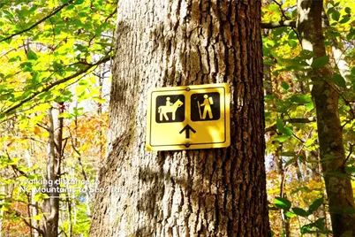 1-2 Flat Rock Road, Pinnacle, NC 27043 - Photo 20