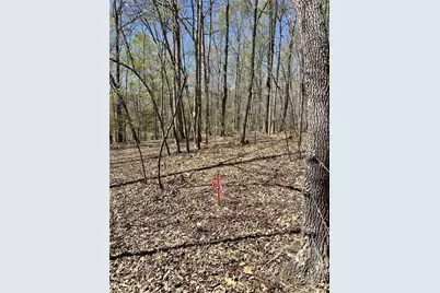 9274 US Highway 64 W, Trinity, NC 27370 - Photo 40