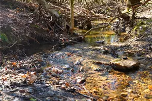 Tbd Flagstone Way, Lowgap, NC 27024 - Photo 1