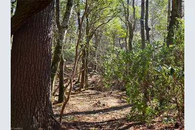 Tbd Flagstone Way, Lowgap, NC 27024 - Photo 26