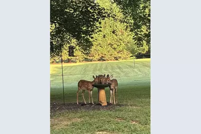 6909 Wooden Rail Lane, Summerfield, NC 27358 - Photo 44